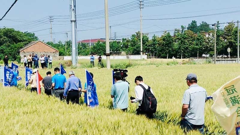 520健康植保日——擁抱綠色農(nóng)業(yè)，我們?cè)谛袆?dòng)