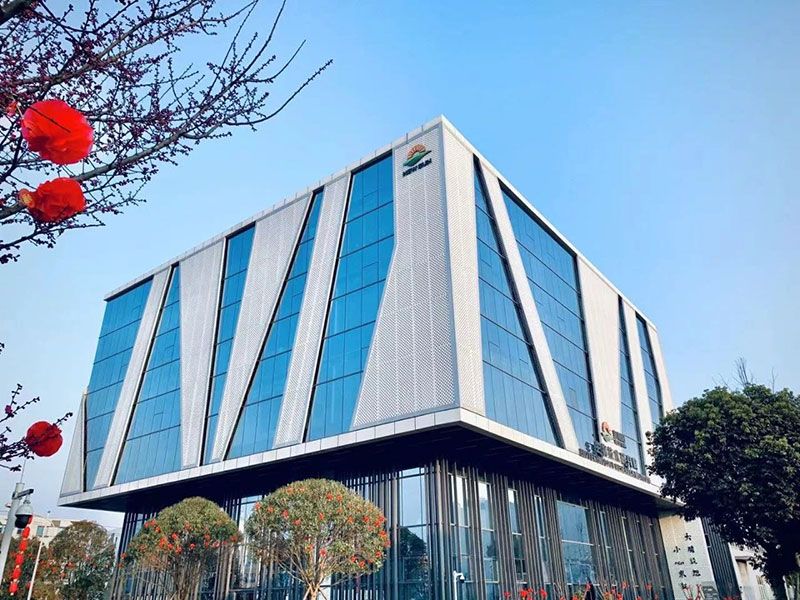 新突破！新朝陽新型脫葉劑獲巴西專利授權(quán)