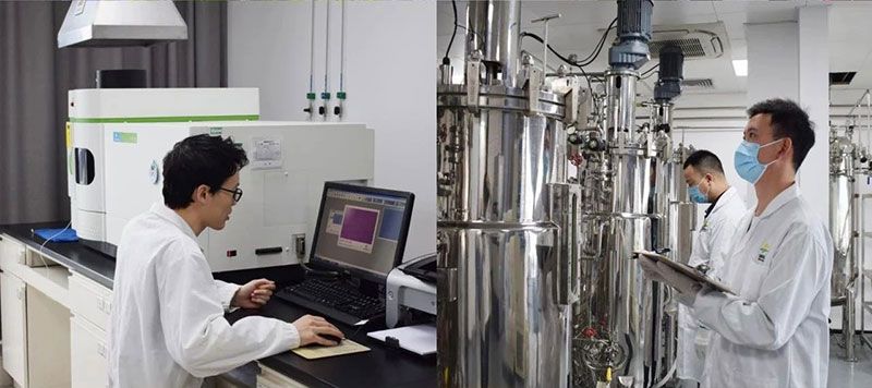 打造新朝陽生物科技“五張名片”，服務(wù)農(nóng)業(yè)高質(zhì)量發(fā)展！