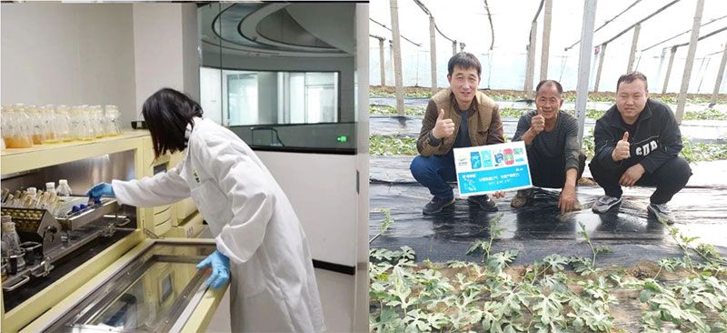 打造新朝陽生物科技“五張名片”，服務(wù)農(nóng)業(yè)高質(zhì)量發(fā)展！