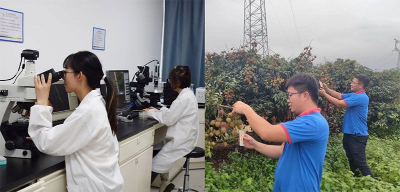 打造新朝陽生物科技“五張名片”，服務(wù)農(nóng)業(yè)高質(zhì)量發(fā)展！