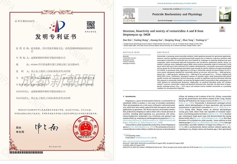 新突破｜新朝陽(yáng)在生物技術(shù)防治稻瘟病研究方面取得新進(jìn)展