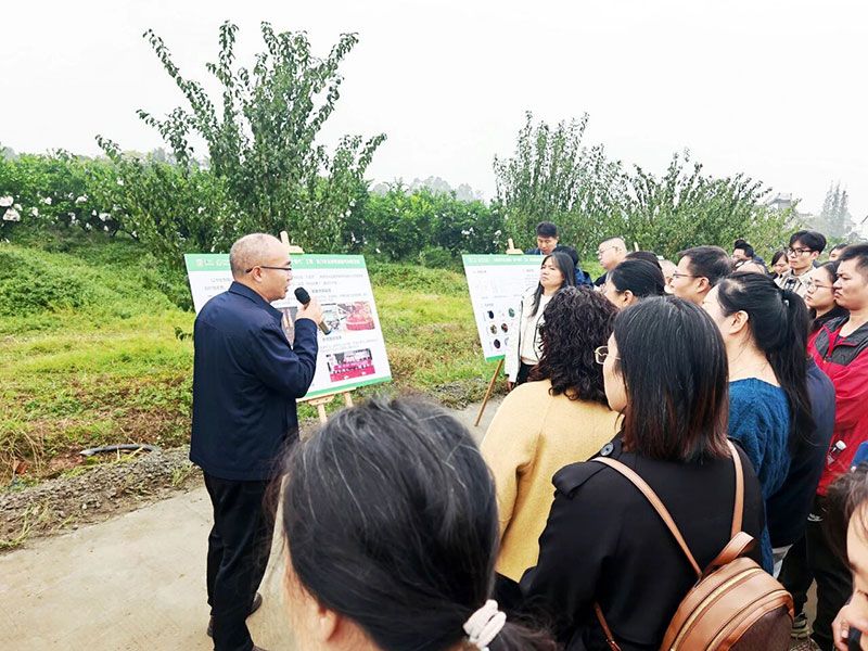 新朝陽(yáng)生物技術(shù)助力綠色防控，推動(dòng)柑橘產(chǎn)業(yè)綠色高質(zhì)量發(fā)展